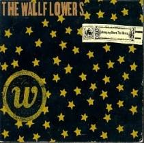 The wallflowers rebel sweetheart rarest